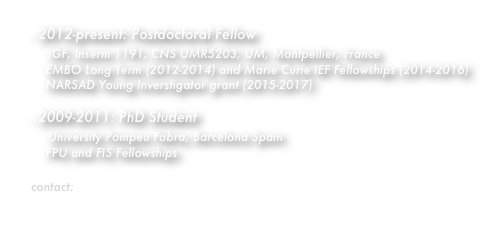 2012-present: Postdoctoral Fellow 
    IGF, Inserm 1191, CNS UMR5203, UM, Montpellier, France
    EMBO Long Term (2012-2014) and Marie Curie IEF Fellowships (2014-2016)
    NARSAD Young Inverstigator grant (2015-2017)

2009-2011: PhD Student
    University Pompeu Fabra, Barcelona Spain
    FPU and FIS Fellowships

contact: emma.puighermanal@igf.cnrs.fr